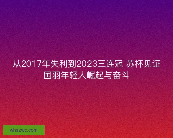 从2017年失利到2023三连冠 苏杯见证国羽年轻人崛起与奋斗